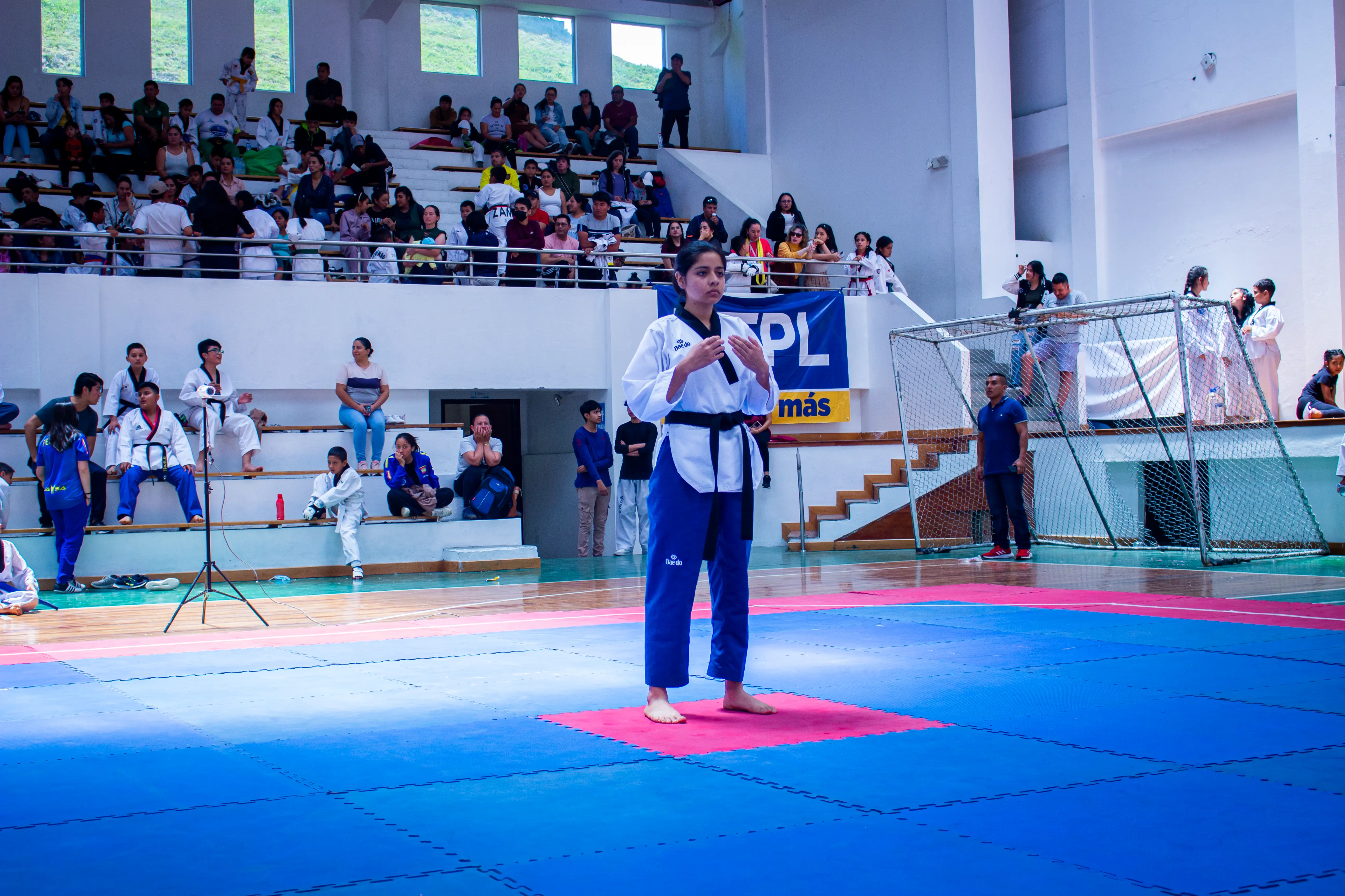 Pounce Taekwondo 3